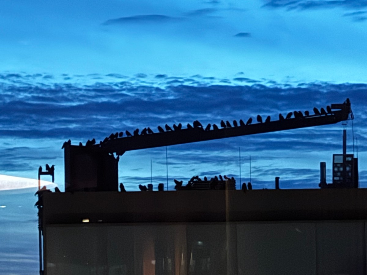 Image &eacute;mergente